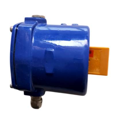 220V打滑開(kāi)關(guān)FLXD-1、220V速度打滑檢測(cè)器BDS2A生產(chǎn) 220V打滑開(kāi)關(guān)FLXD-1、220V速度打滑檢測(cè)器BDS2A生產(chǎn)